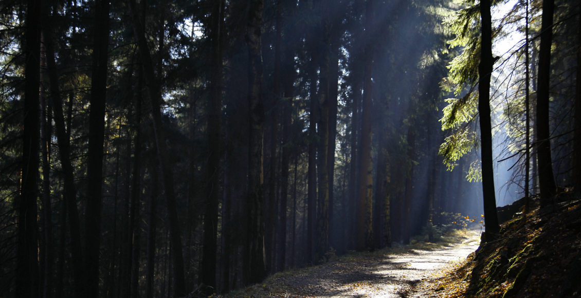 Szwajcaria Saksońska Szlak Malarzy Viator Polonicus Joanna Maria Czupryna