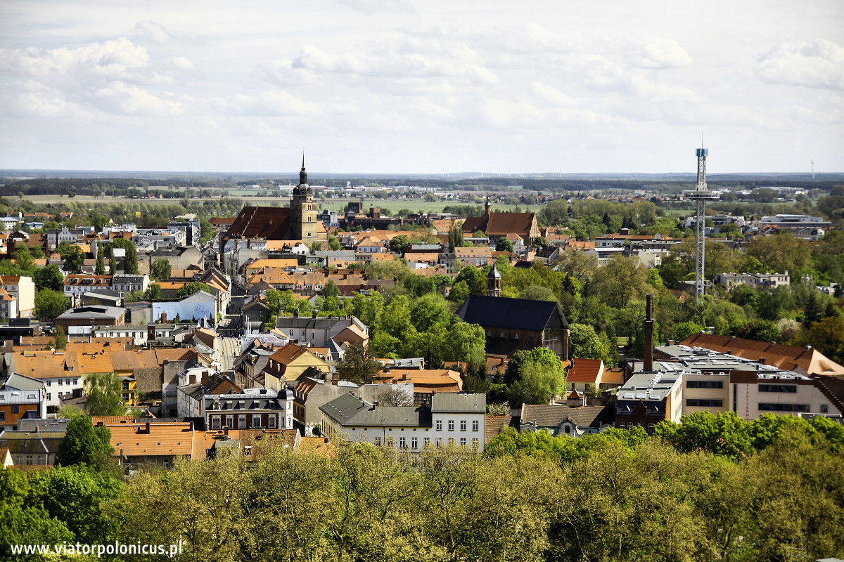 Brandenburg katedra