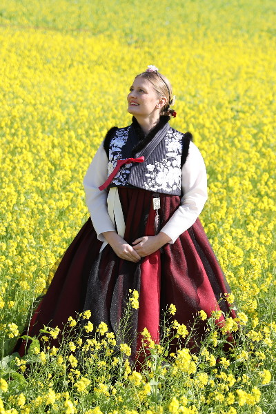 Viator Polonicus Korea