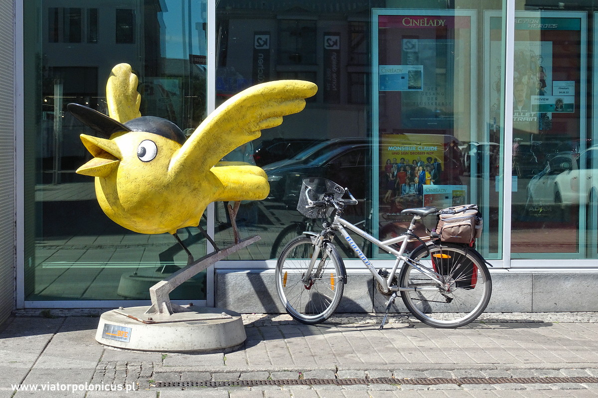 Der Goldene Spatz, Erfurt