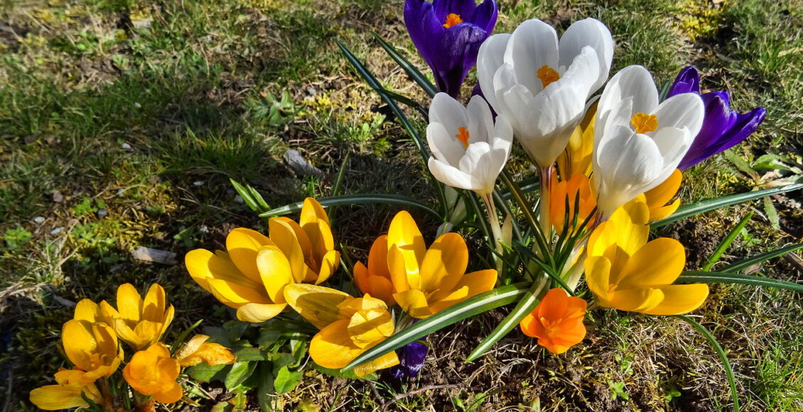 wielkanocny spreewald