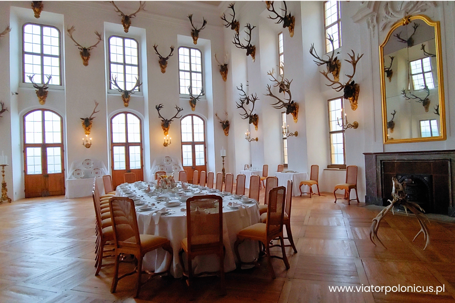 schloss Moritzburg